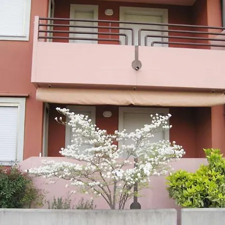 Camelie Apartamento *